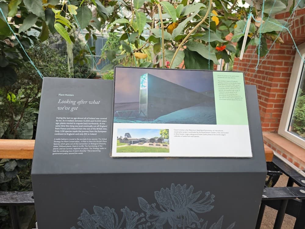 The Tropical Ravine House