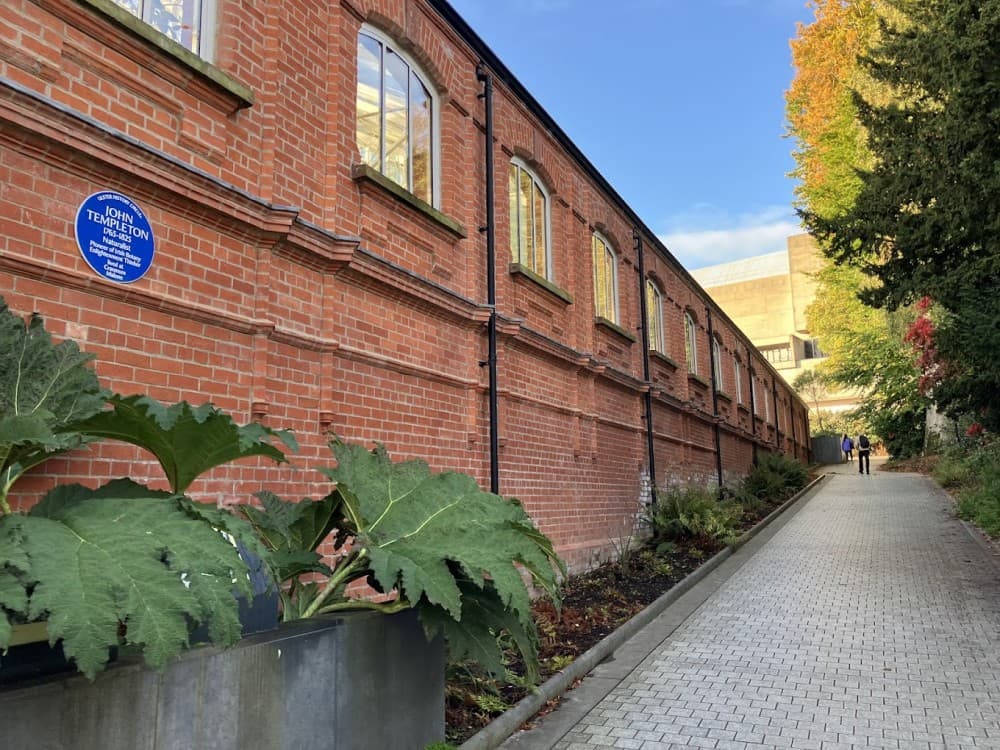 The Tropical Ravine House