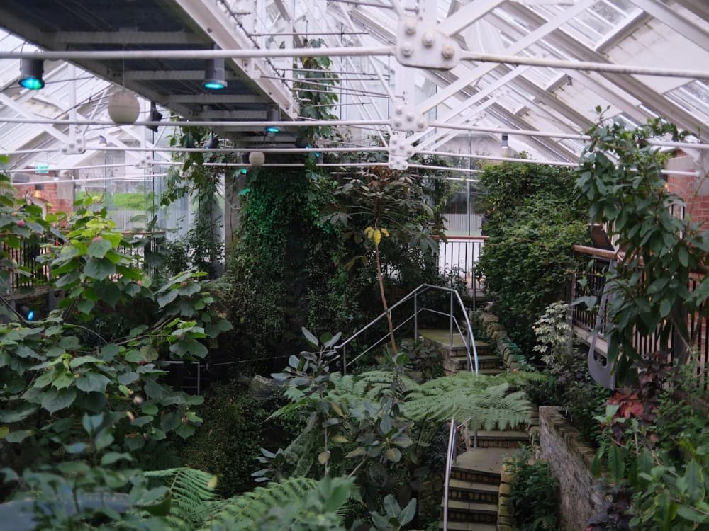 The Tropical Ravine House