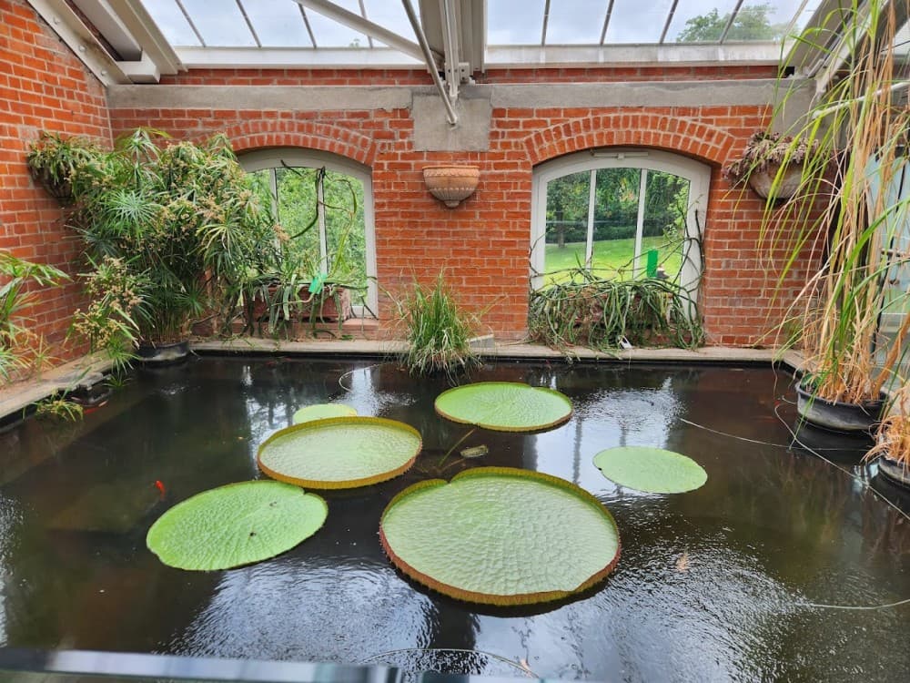 Belfast: The Tropical Ravine House | ®ExcursionMania