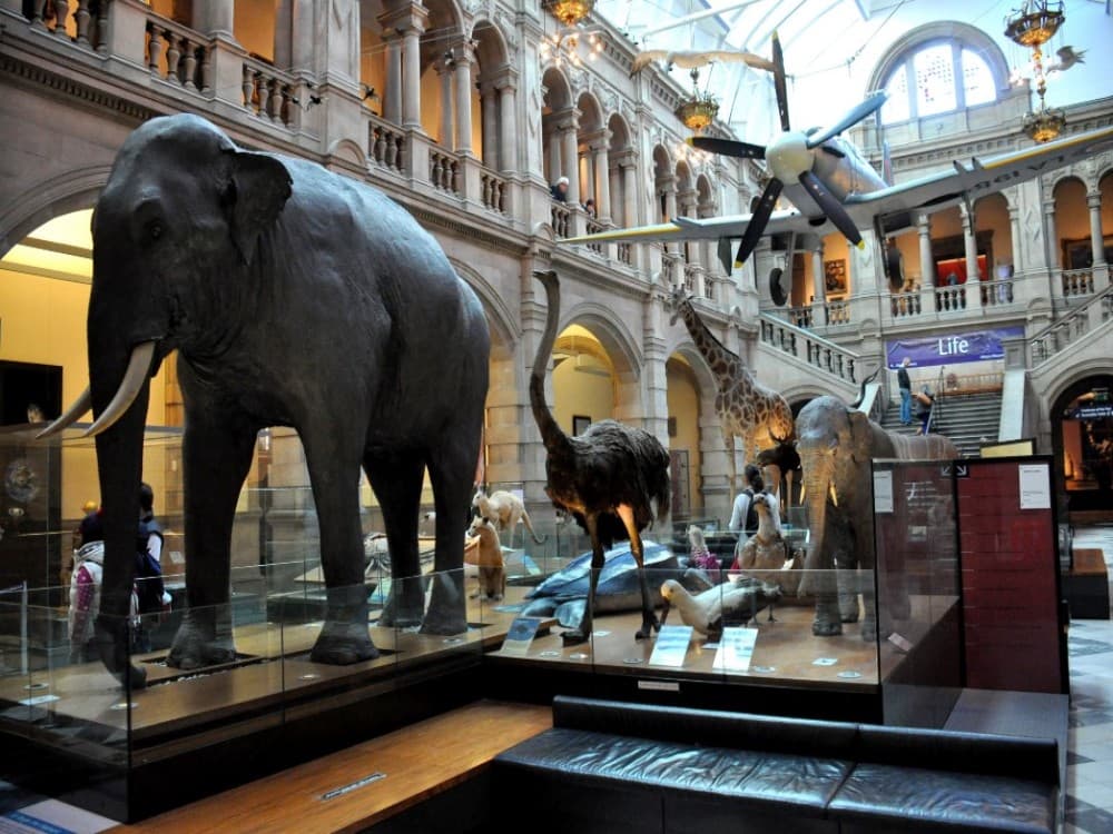 Kelvingrove Art Gallery and Museum