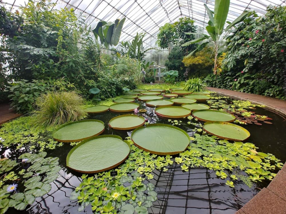 Royal Botanic Garden Edinburgh