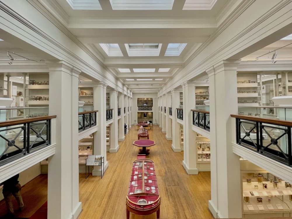 Edinburgh: Surgeons' Hall Museums | ®ExcursionMania