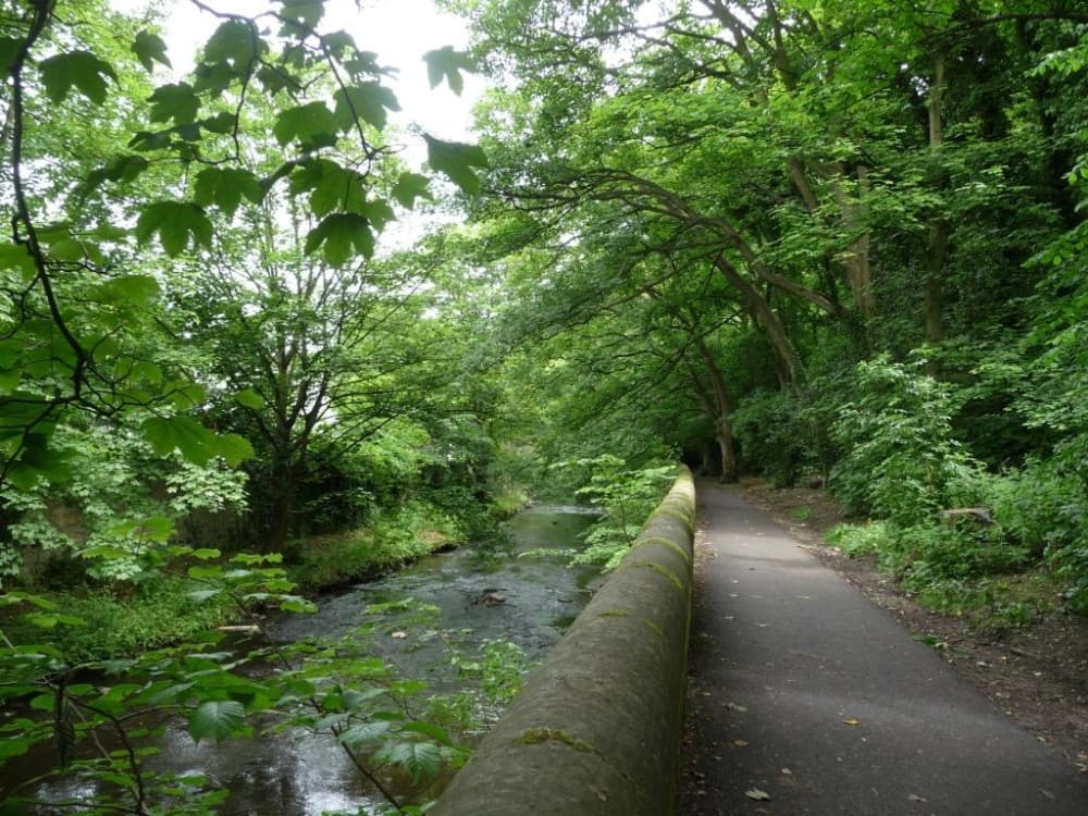 Water of Leith Walkway