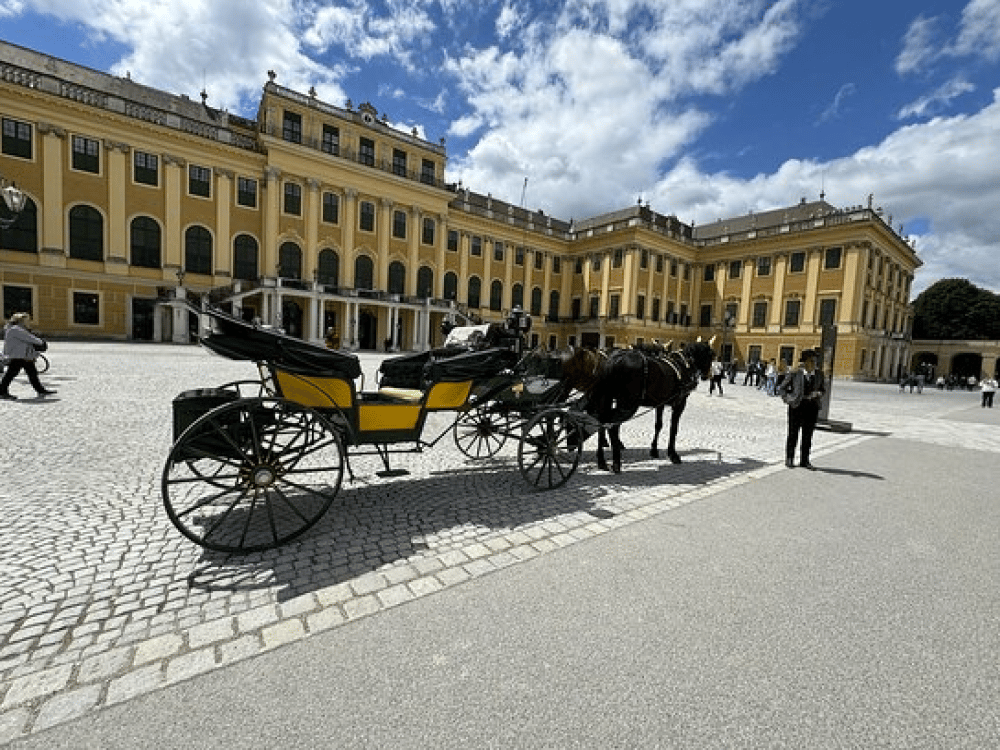 Do and don'ts in Vienna?