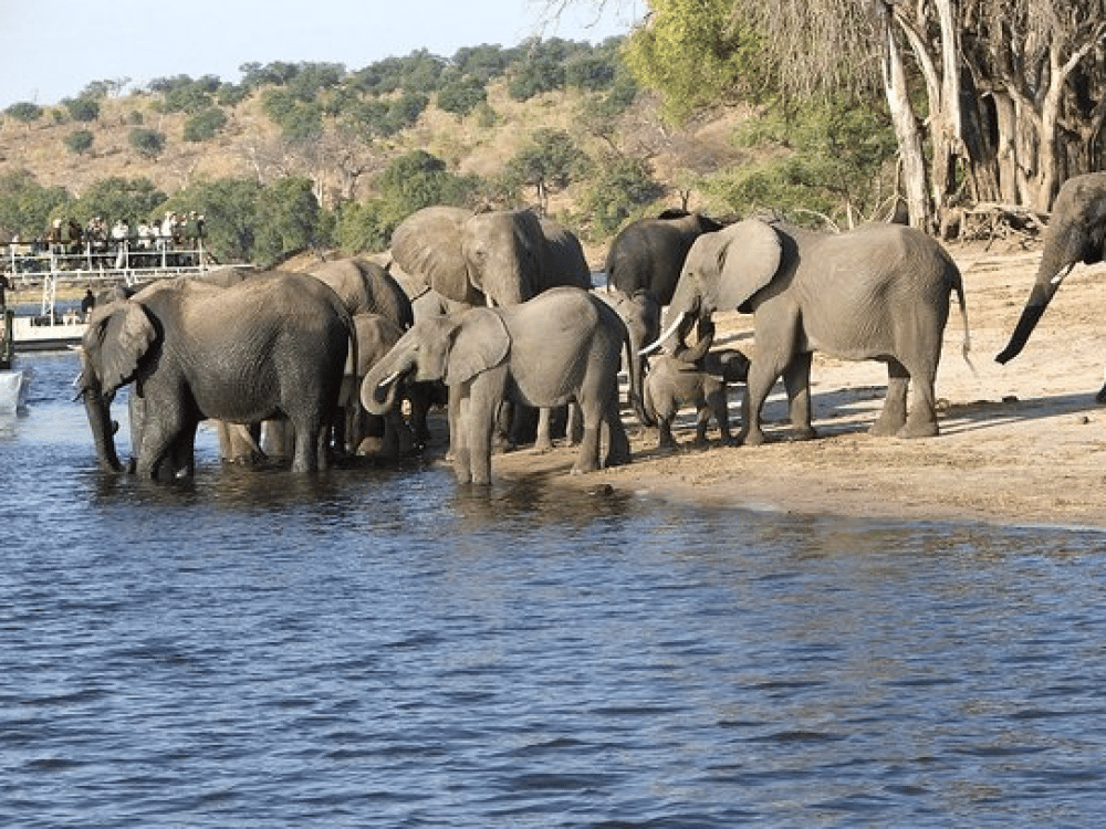 Is Kasane Worth Visiting?