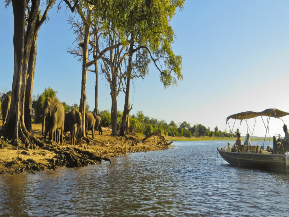 Is Kasane Worth Visiting?