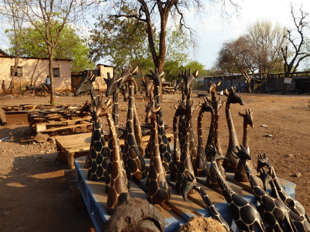 Is Kasane Worth Visiting?