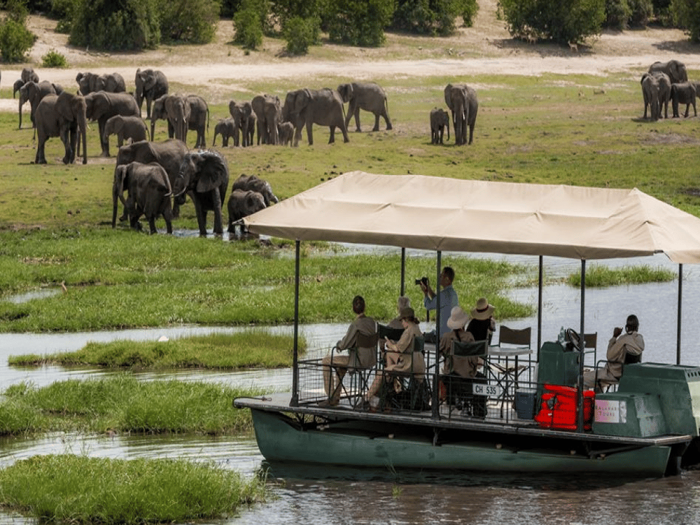 What to Do in Kasane?