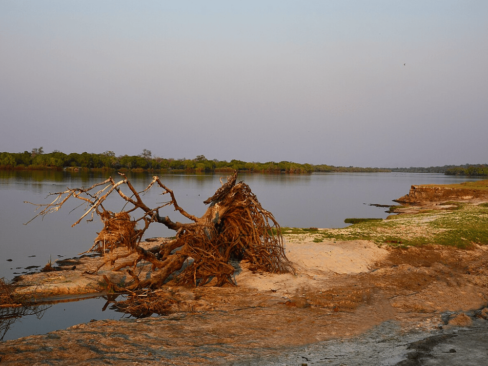 What to Do in Kasane?