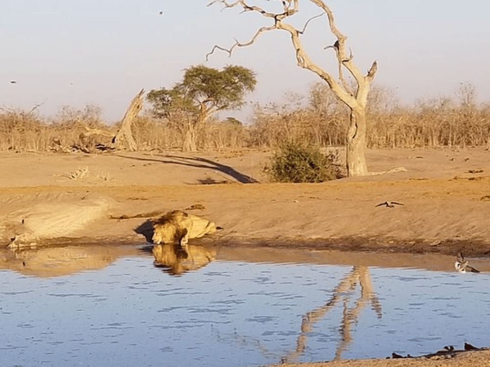 What Is Kasane Known For?