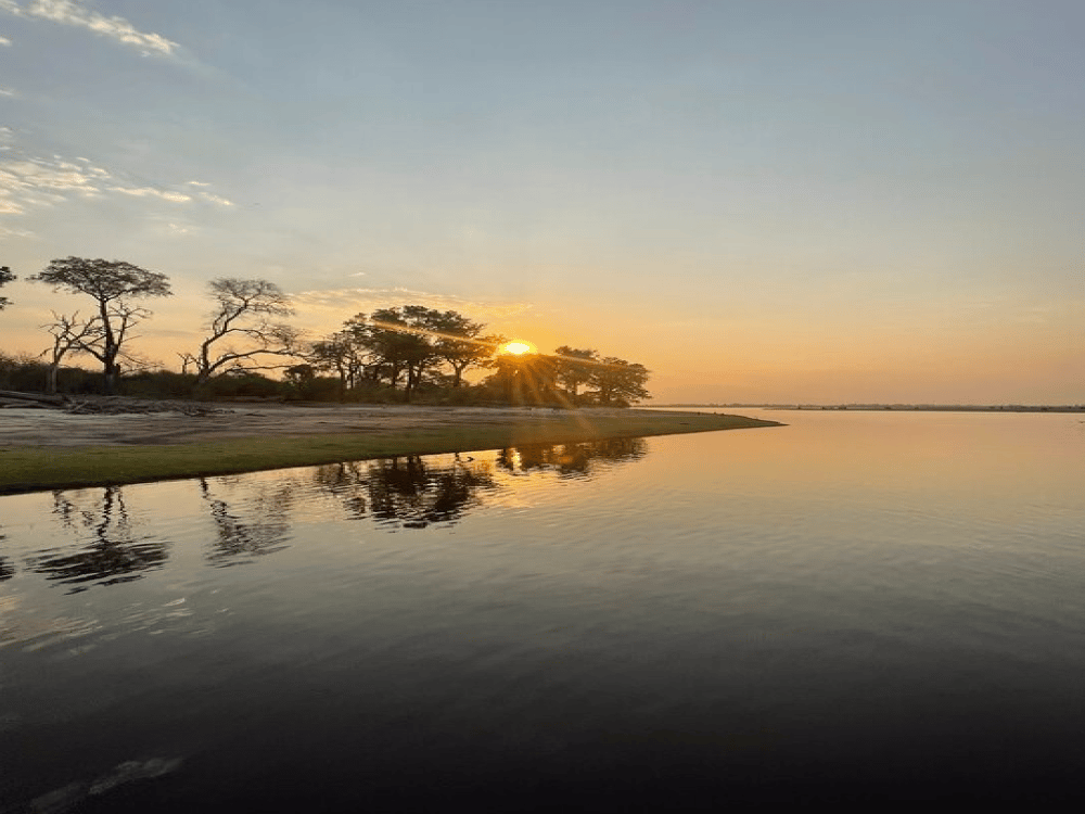 What Month Is Best for Safari in Botswana?