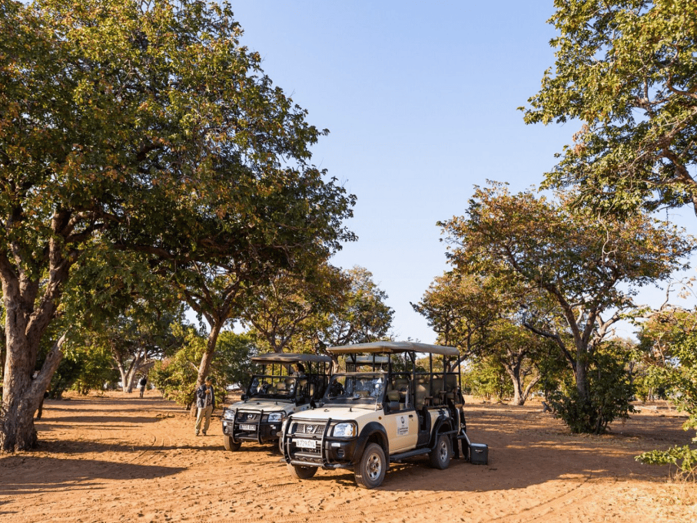 What Food Is Botswana Famous For?