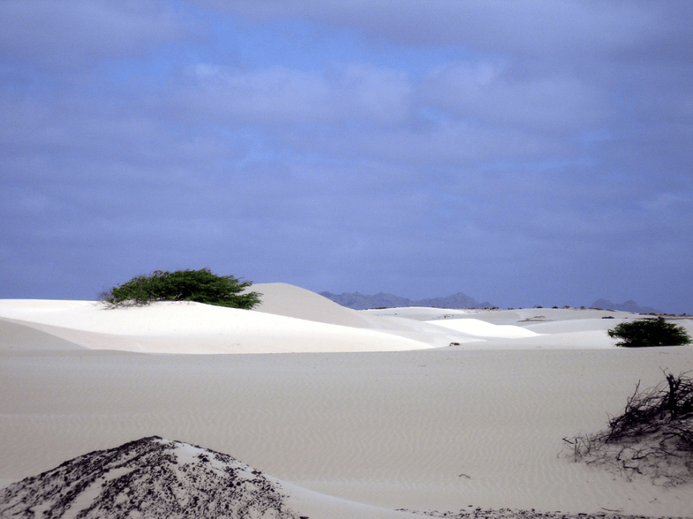 What Is Boa Vista Known For?