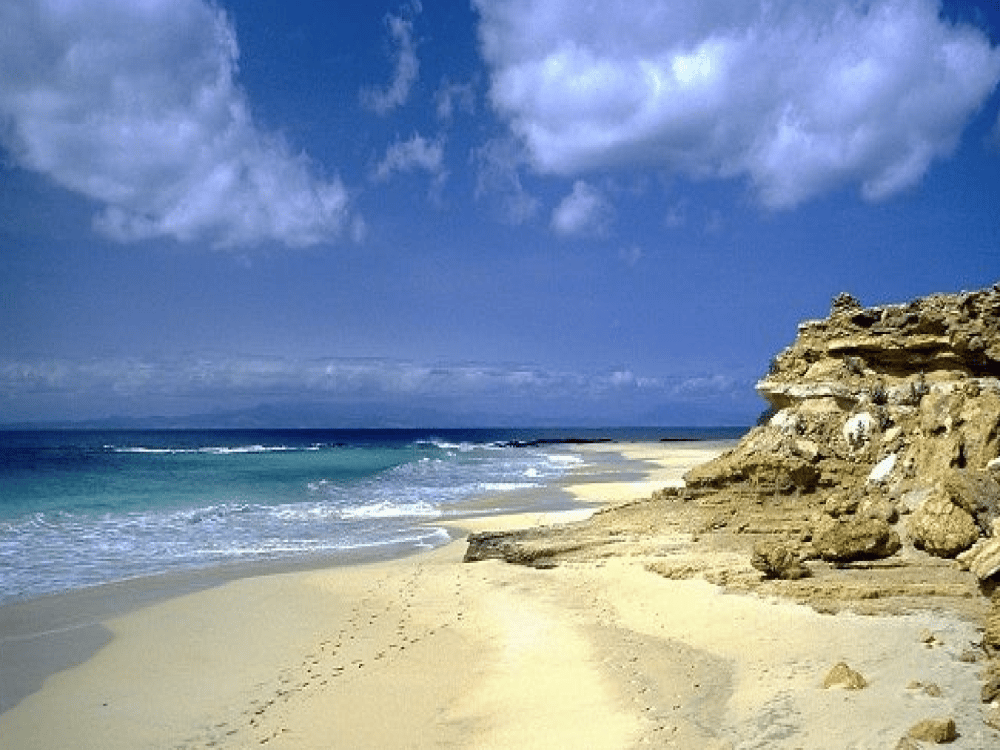 What Is Maio Best Known For?