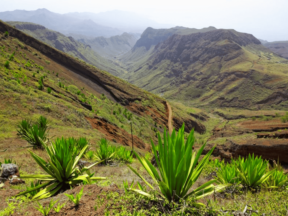 What to Do in São Nicolau?
