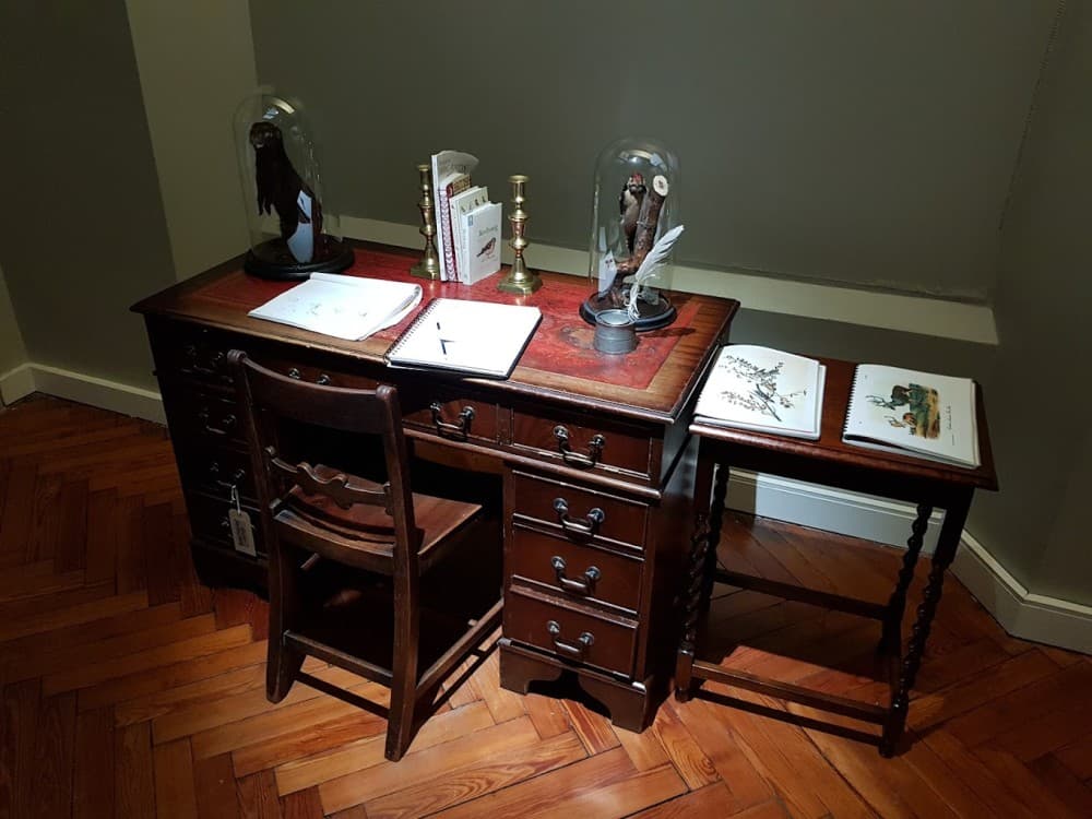 Victoria Gallery & Museum