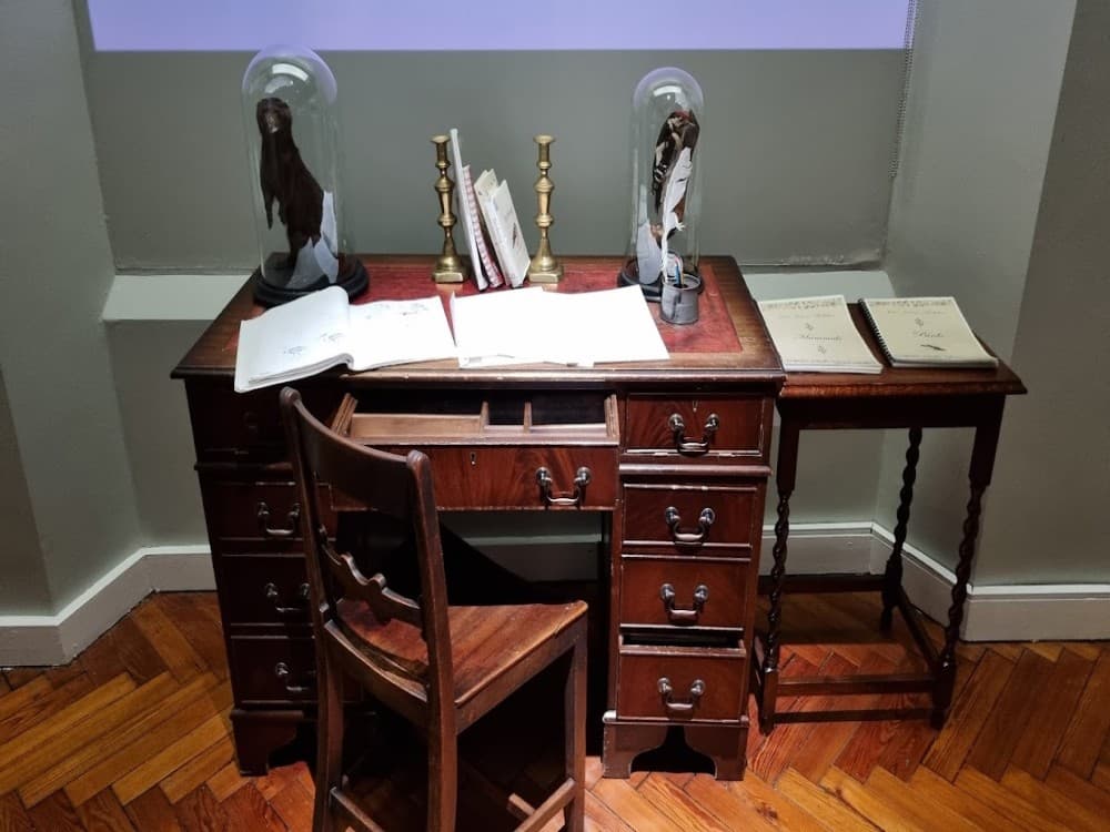 Victoria Gallery & Museum