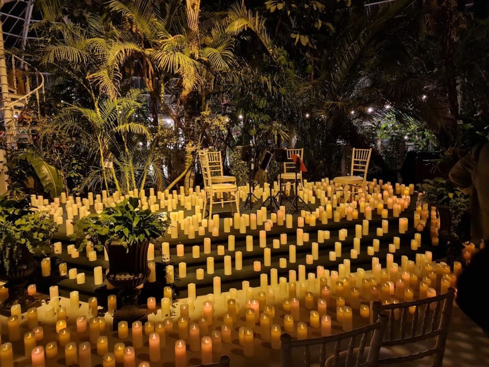 Sefton Park Palm House