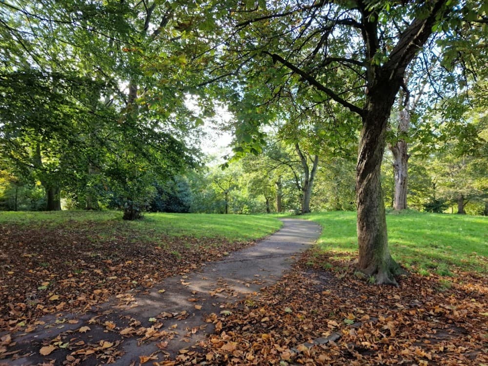 Sefton Park Palm House
