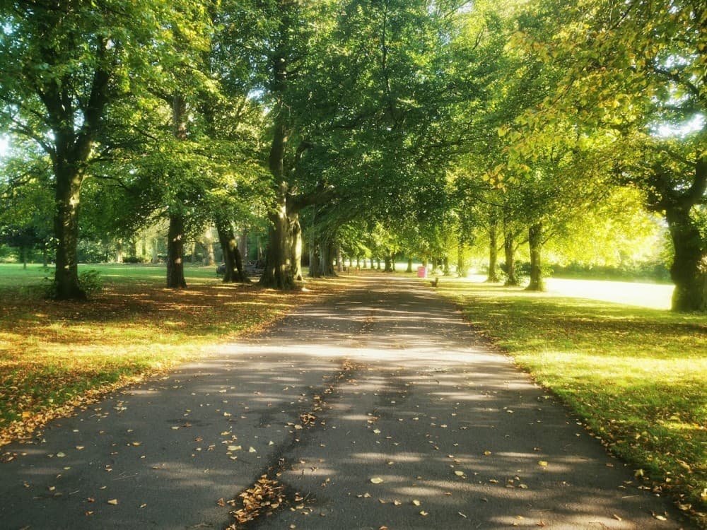Calderstones Park