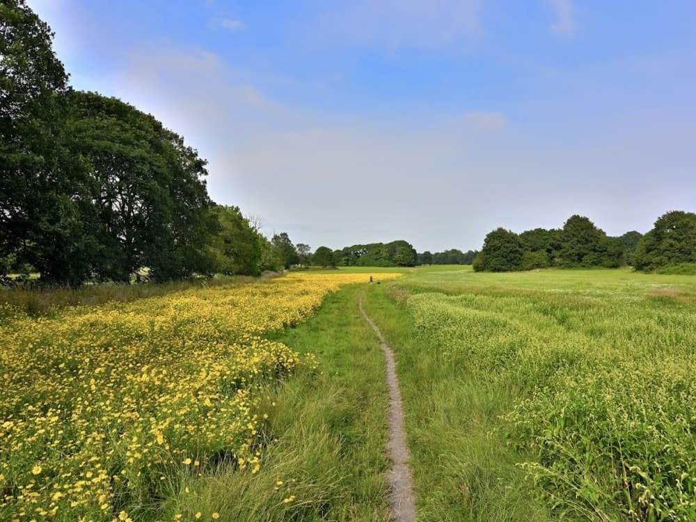 Croxteth Hall And Country Park