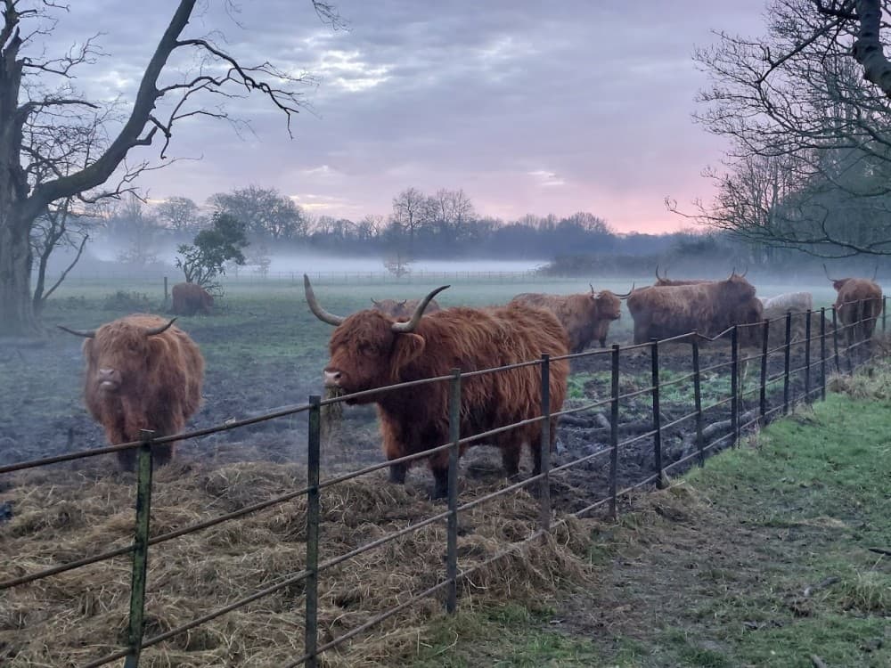Croxteth Hall And Country Park