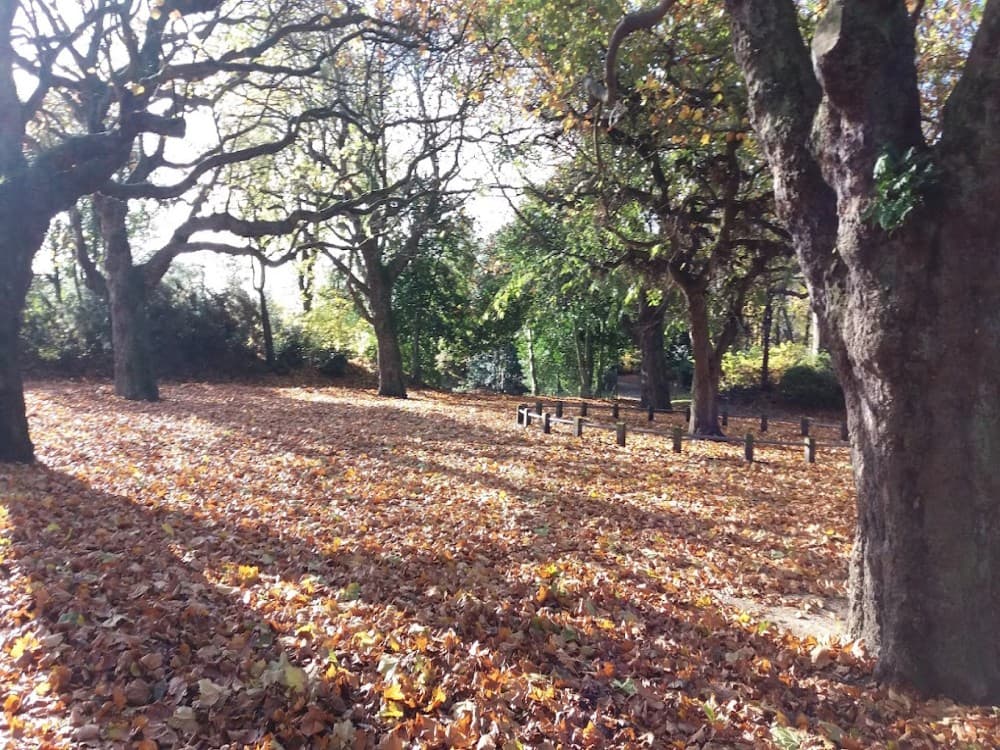The Isla Gladstone Conservatory