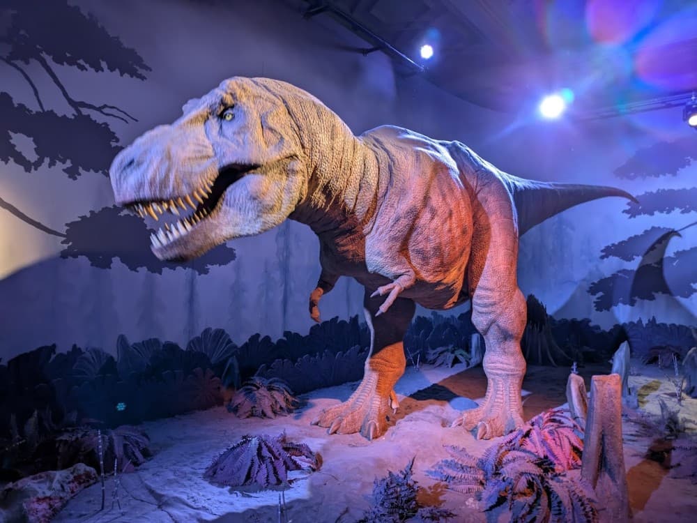 Natural History Museum