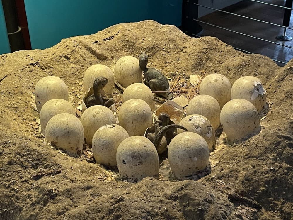 Natural History Museum