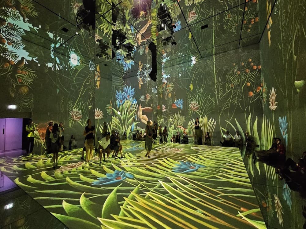 Frameless Immersive Art Experience