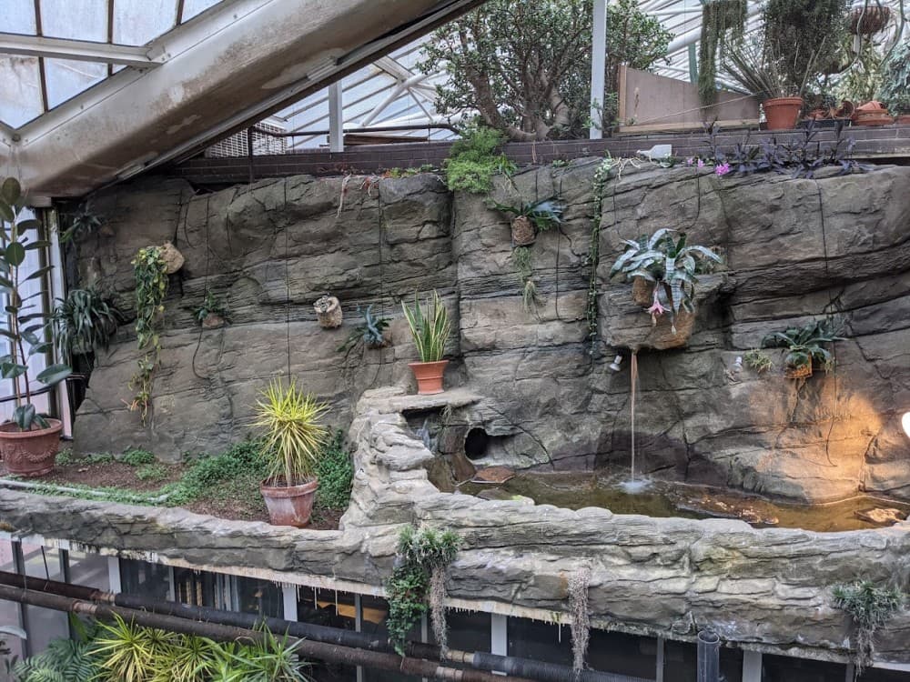 Barbican Conservatory