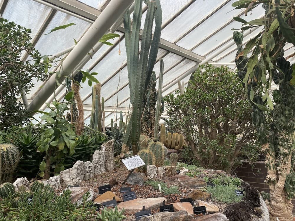 Barbican Conservatory
