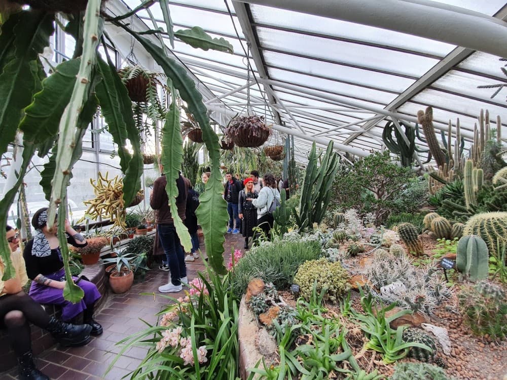 Barbican Conservatory