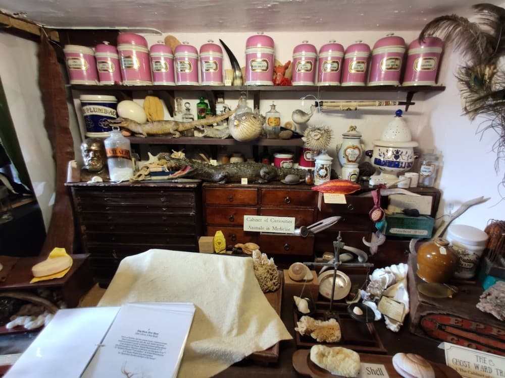 The Old Operating Theatre Museum