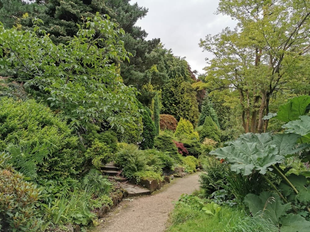 Fletcher Moss Botanical Gardens