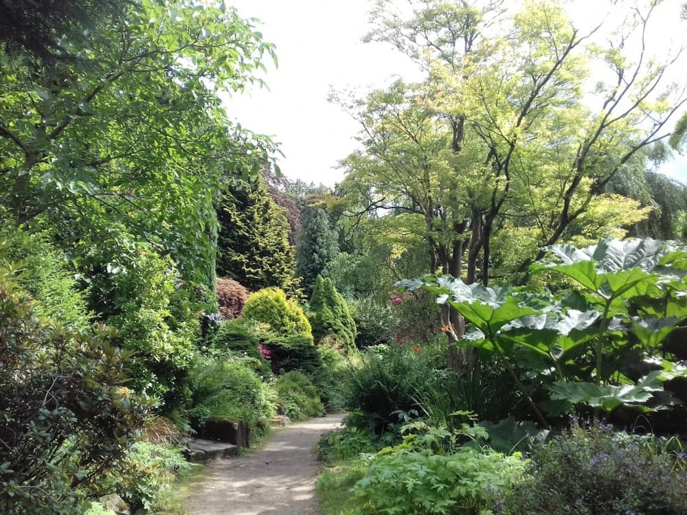 Fletcher Moss Botanical Gardens