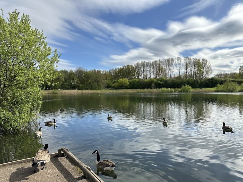 Manchester: Chorlton Water Park | ®ExcursionMania