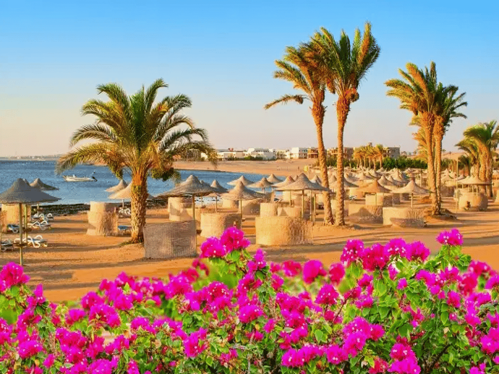 What Is the Hottest Month in Sharm?
