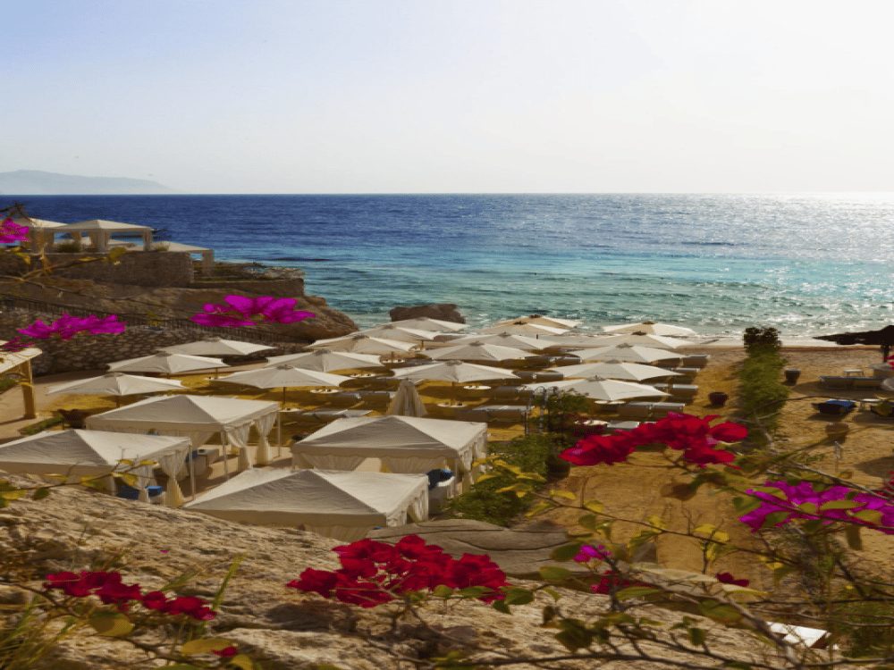 What Is the Cheapest Month to Go to Sharm El-Sheikh?