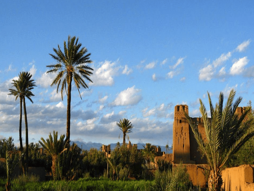 Can Females Wear Shorts in Marrakesh?