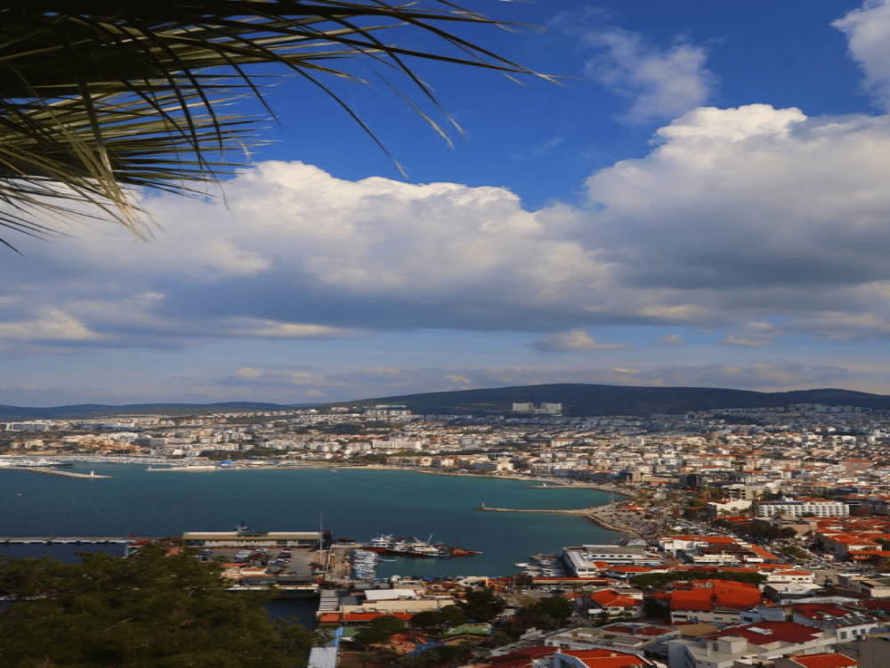 What to Eat in Kuşadasi?