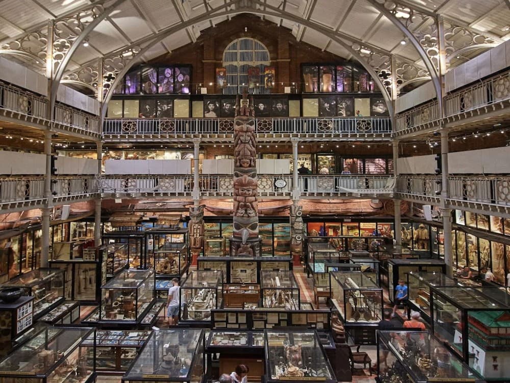 University Museum of Natural History