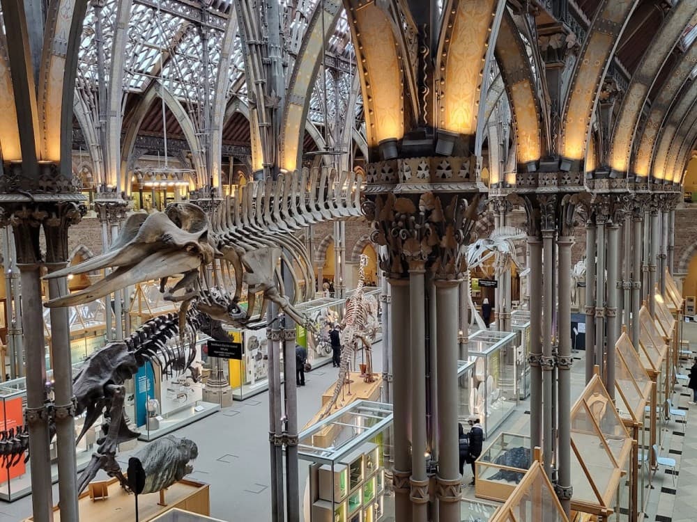 University Museum of Natural History