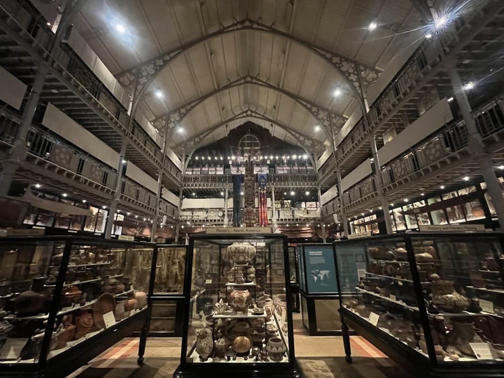 Pitt Rivers Museum