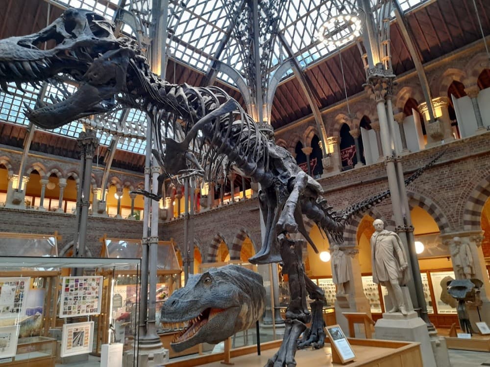 Pitt Rivers Museum