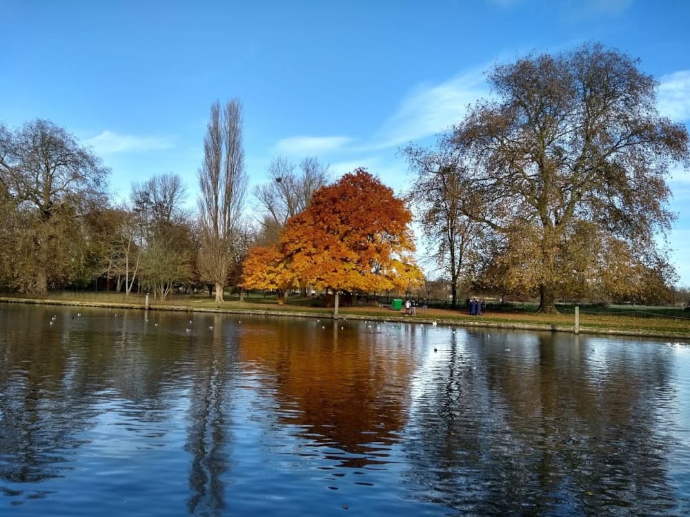 Christ Church Meadow