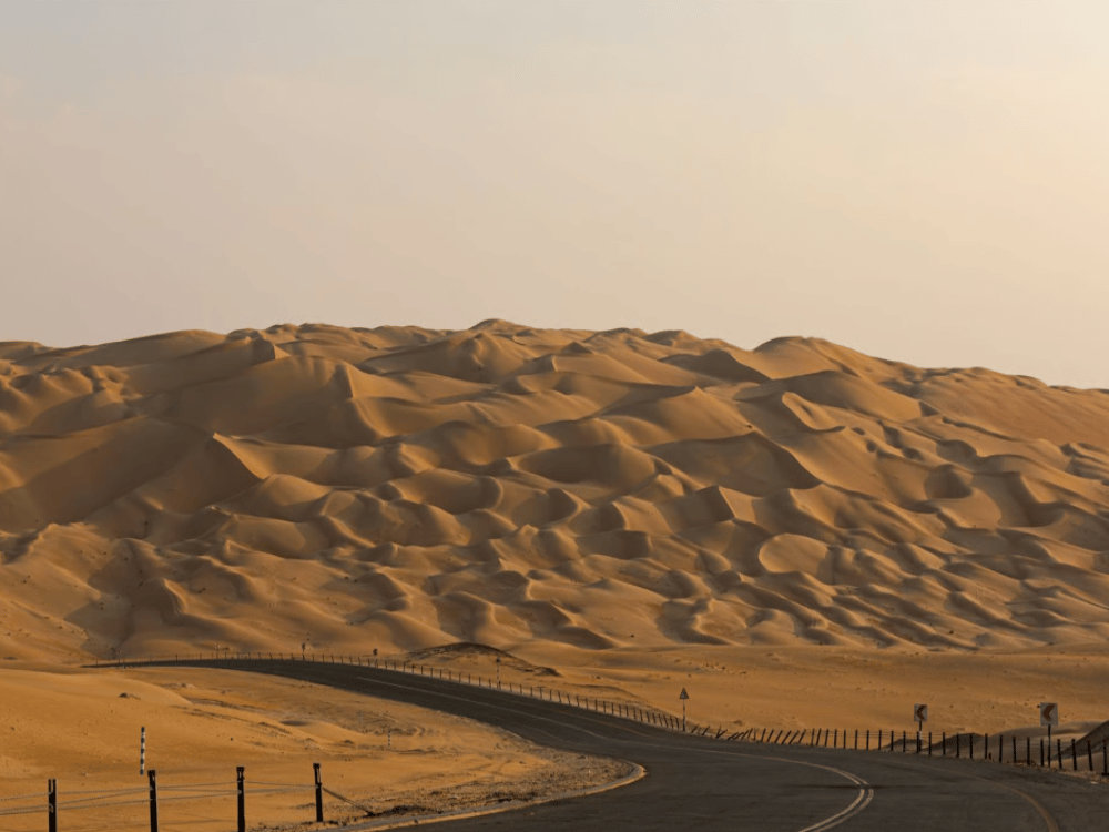 What to Do in Abu Dhabi for a Day for Adults?