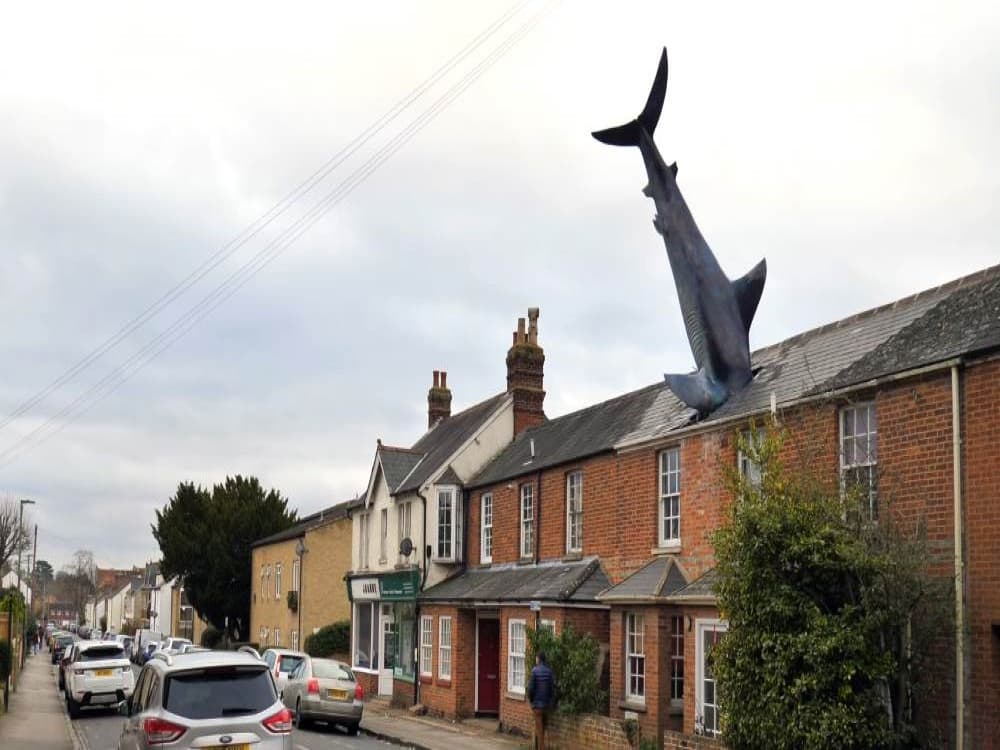 Headington Shark