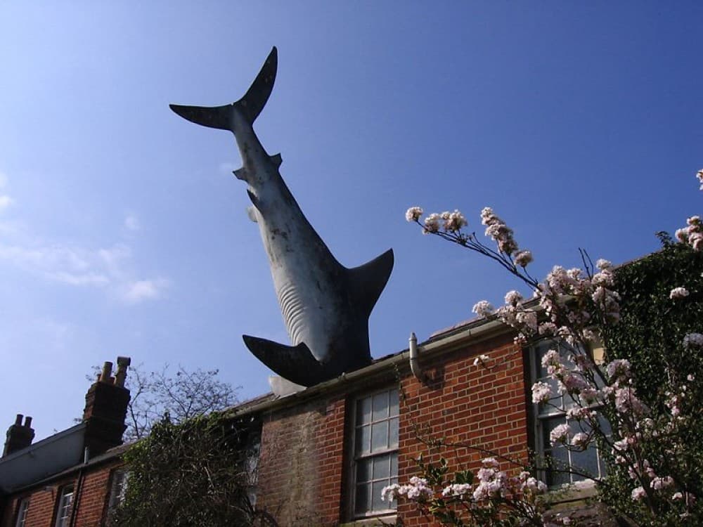 Headington Shark